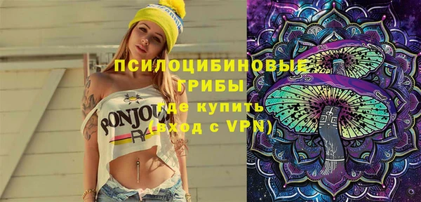 гидропоника Гусев
