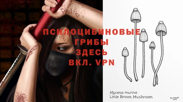 меф VHQ Гусиноозёрск