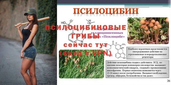 меф Гусь-Хрустальный