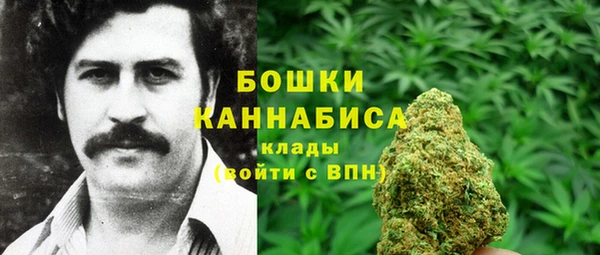 гидропоника Гусев