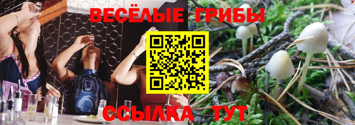 Псилоцибиновые грибы мицелий  Вход с VPN  Малоярославец 